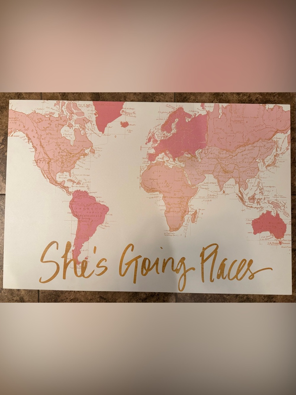 Pink and Gold World Map Wall Art